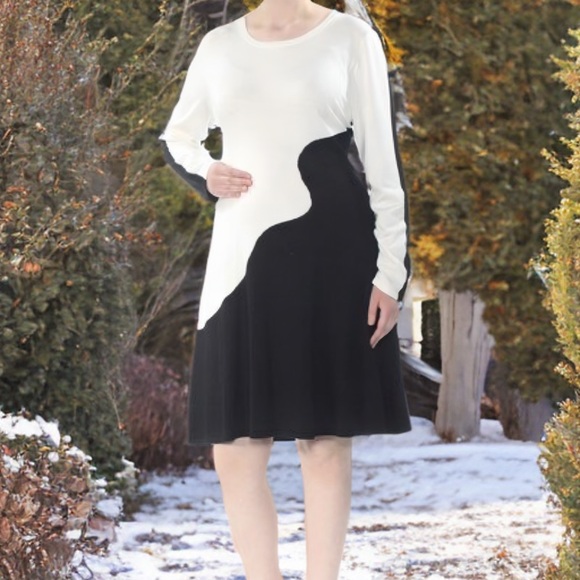 NWT | Colorblock Knit Sweater Dress - Picture 2 of 12